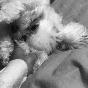 Meet your Posher, Jenny